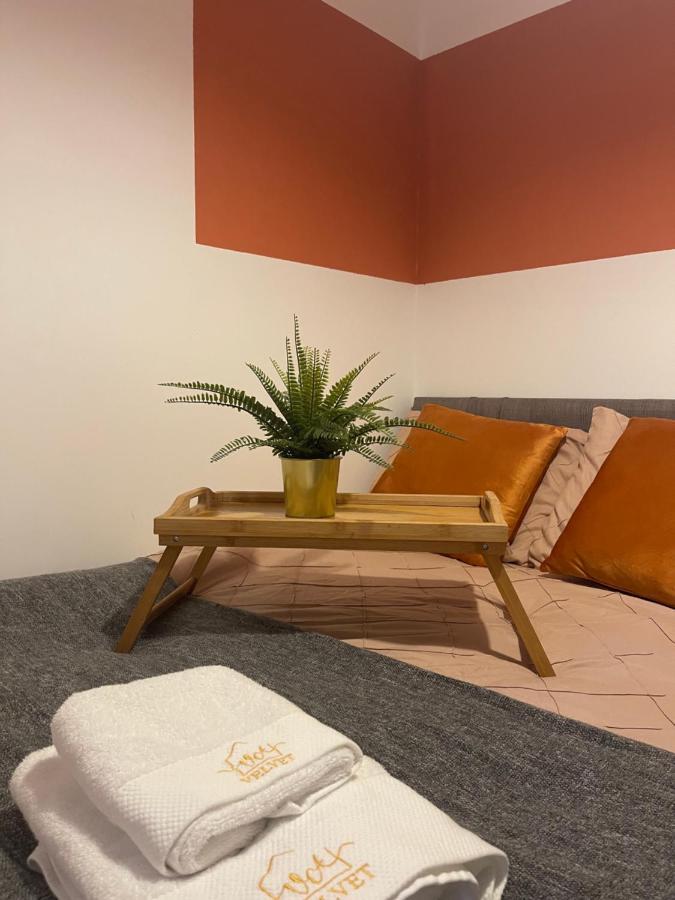 Elegant Studio1 Netflix Bathroom Close To Beach Свонсі Екстер'єр фото